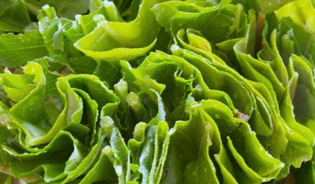 18 продуктов, которые продлят вашу жизнь 13-20