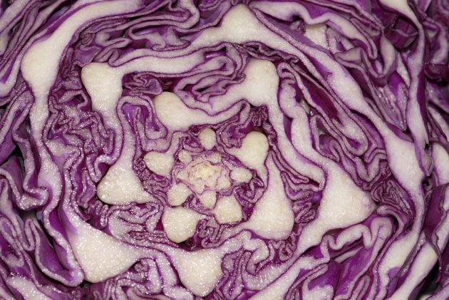 18 продуктов, которые продлят вашу жизнь 18-9