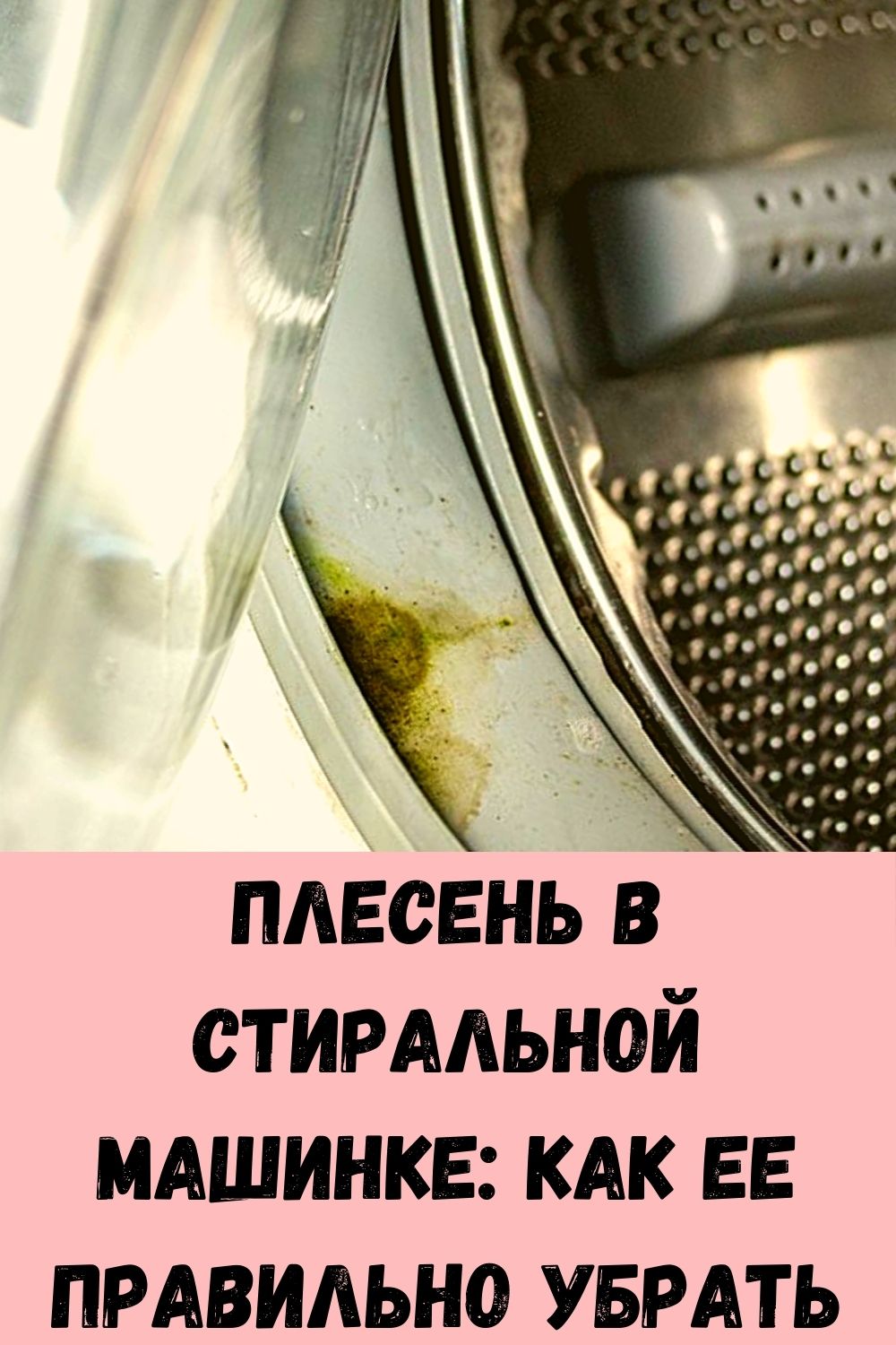 Плесень в стиральной машинке: как ее правильно убрать