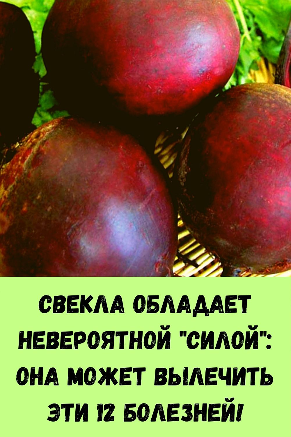 Свекла обладает невероятной 