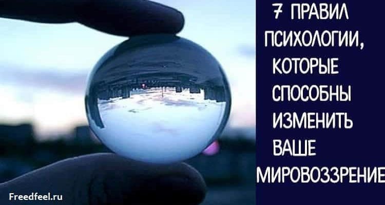 Черновик Черновик