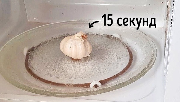 Всегда кладу лук в морозильник. Узнав зачем, вы будете делать также!