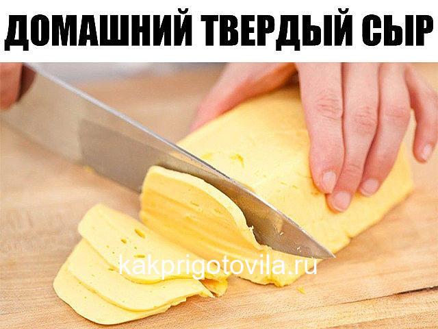 Домашний твердый сыр. Такой сыр можно смело давать малышу, ведь в нем не будет никаких ароматических добавок и красителей.