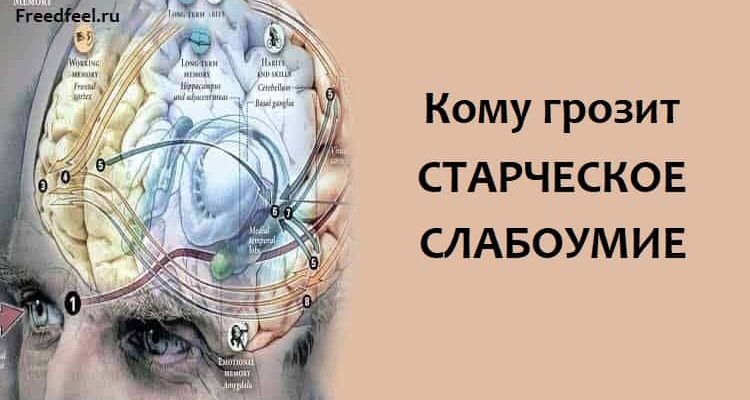 Кому грозит старческое слабоумие.Полезная статья. Кому грозит старческое слабоумие.Полезная статья.