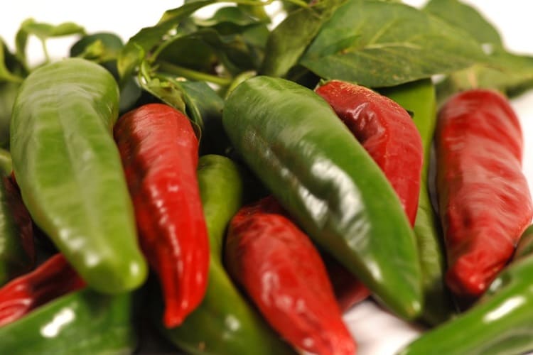 Включи в свой рацион эти 6 продуктов и забудь о диете! Еда, ускоряющая обмен веществ