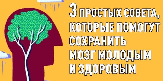 3 простых совета, которые помогут сохранить мозг молодым и здоровым
