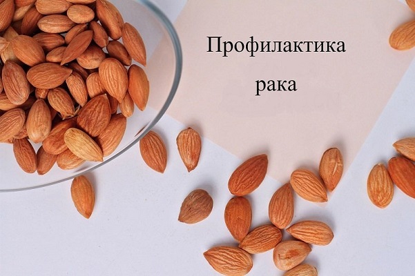 ПРЕДУПРЕДИЛ ВСЕХ ЗНАКОМЫХ: «КОСТОЧКИ ОТ АБРИКОСОВ НЕ ВЫБРАСЫВАЕМ!» — ТЕПЕРЬ СПАСИБО МНЕ ГОВОРЯТ!