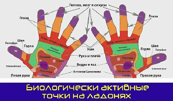 Биологически активные точки на ладонях. Рефлексотерапия.