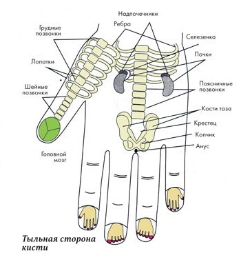 Самоисцеление. Простые техники для пальцев