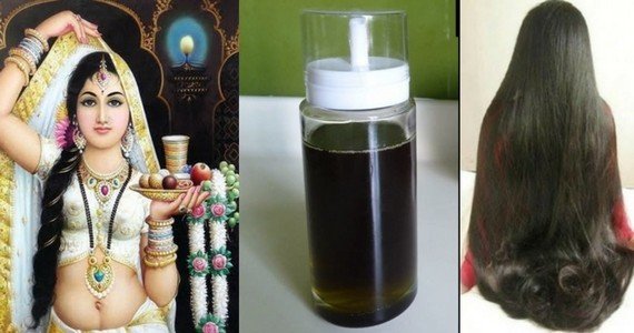 Секретное масло индийской королевской семьи: ваши волос будут расти быстрее, а выпадение волос прекратиться!