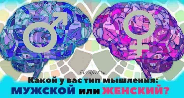 Тест: Какой у вас тип мышления: Мужской или Женский?