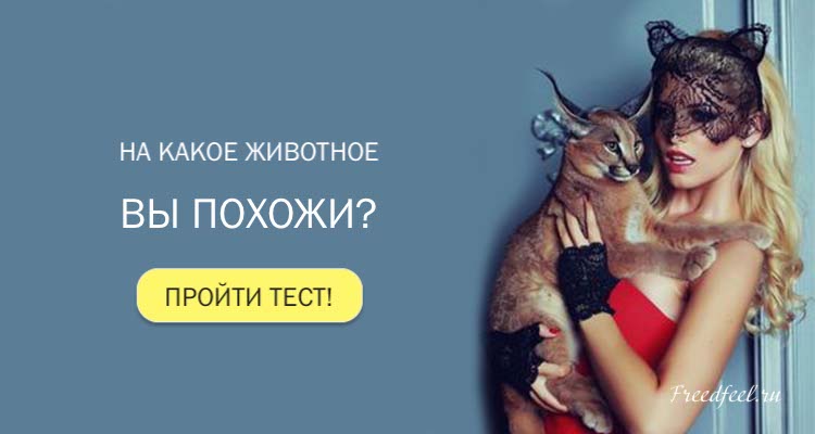 Тест. На какое животное вы похожи? Кто вы внутри? Тест. На какое животное вы похожи? Кто вы внутри?