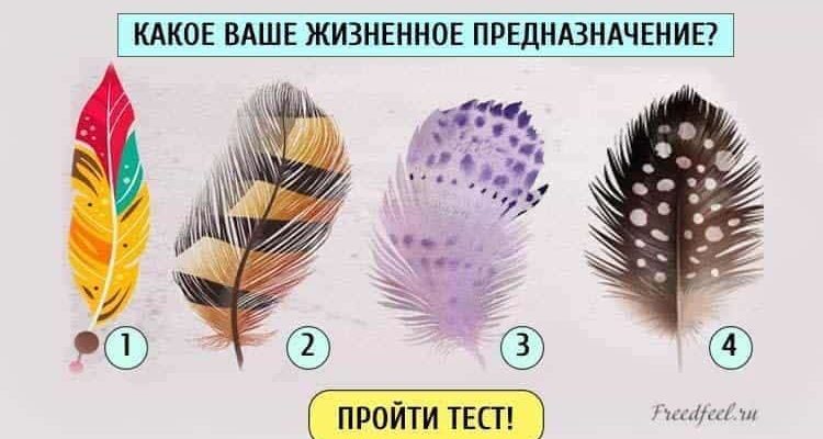 Тест: Выберите перо и узнайте свое жизненное предназначение Тест: Выберите перо и узнайте свое жизненное предназначение