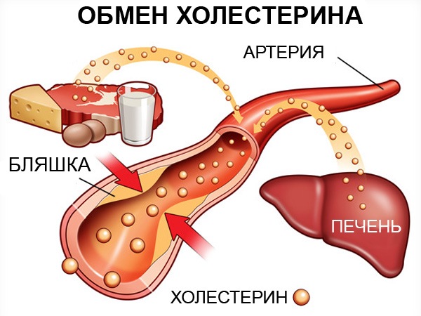 Убивает глисты, выводит токсины и холестерин — ТЫКВА. Смотри, рецепт народной медицины!
