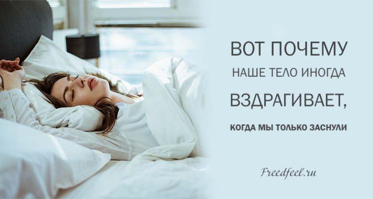 Вот почему наше тело иногда вздрагивает, когда мы только заснули… Вот почему наше тело иногда вздрагивает, когда мы только заснули…
