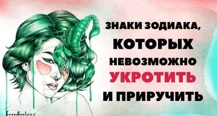 Знаки Зодиака, которых невозможно укротить и приручить Знаки Зодиака, которых невозможно укротить и приручить